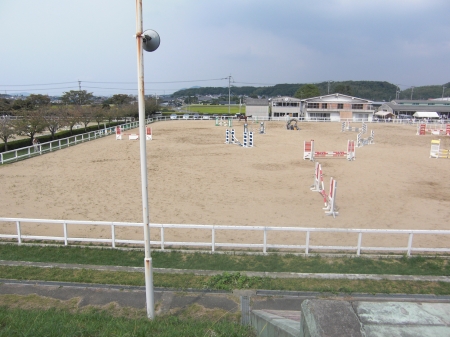 �摜