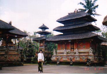 bali01.jpg (21398 oCg)