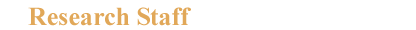 Research Staff