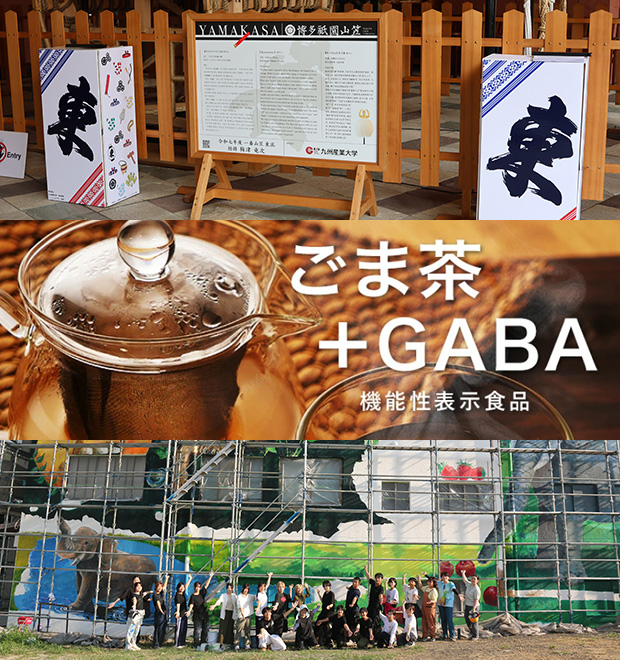 展示イメージ
