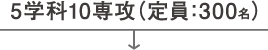 芸術学部 5学科12専攻（定員300）