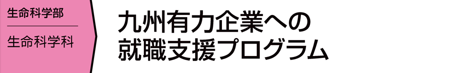 九州有力企業への就職支援プログラム