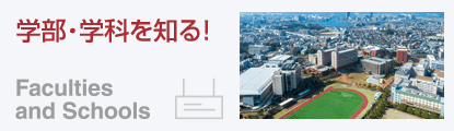 学部・学科
